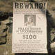 Image for article titled Red Dead PC Players Find Hidden Princess